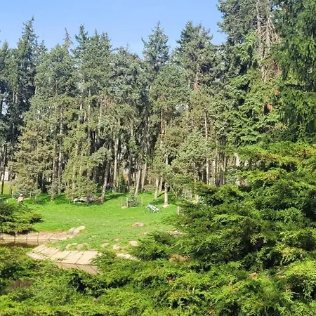 Daire Saska Modern Przy Stadionie Varşova