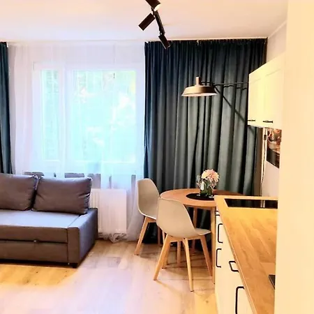 Saska Modern