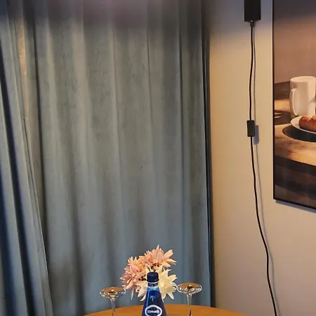 Apartment Saska Modern