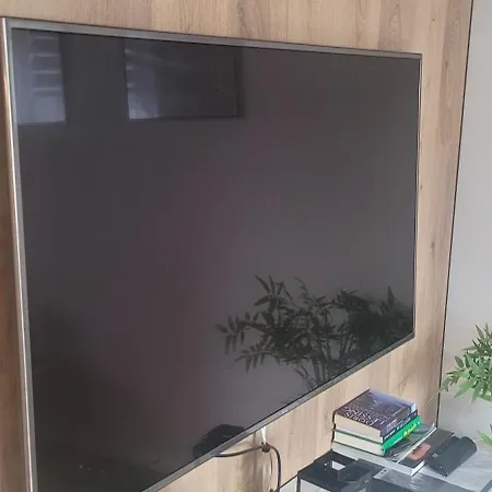 Apartment Saska Modern