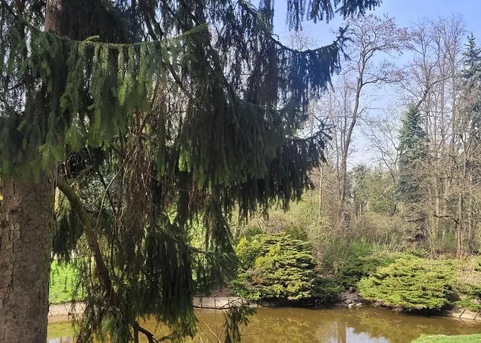 Saska Modern Przy Stadionie