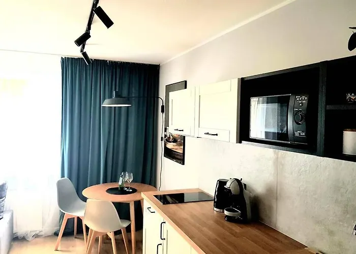 Saska Modern Przy Stadionie Apartment *