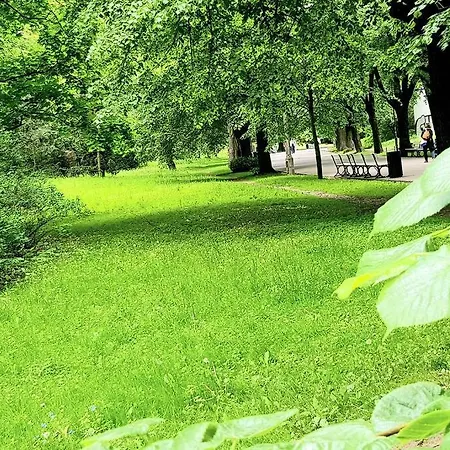 Apartament Saska Modern *