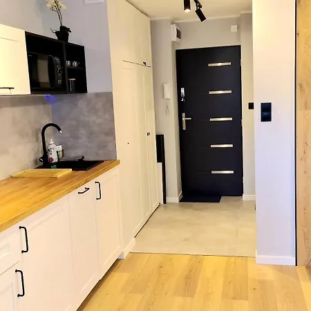 Saska Modern Przy Stadionie *
