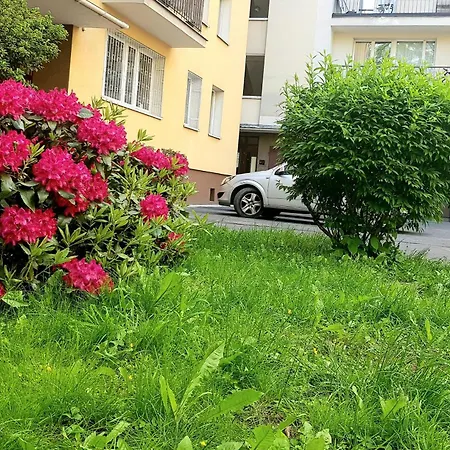 Saska Modern Apartament